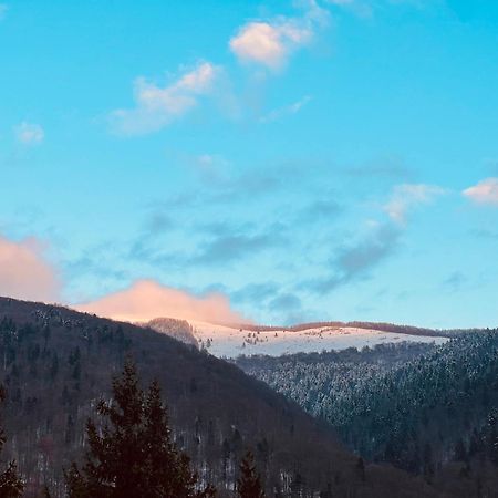 The Nest Apartment Sinaia Exterior photo